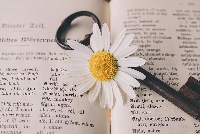 key on book